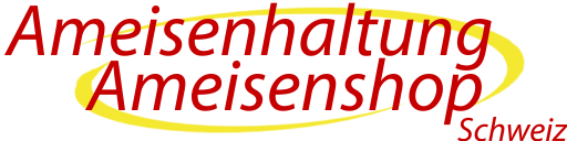 Ameisenhaltung Schweiz - Rolf Kathriner